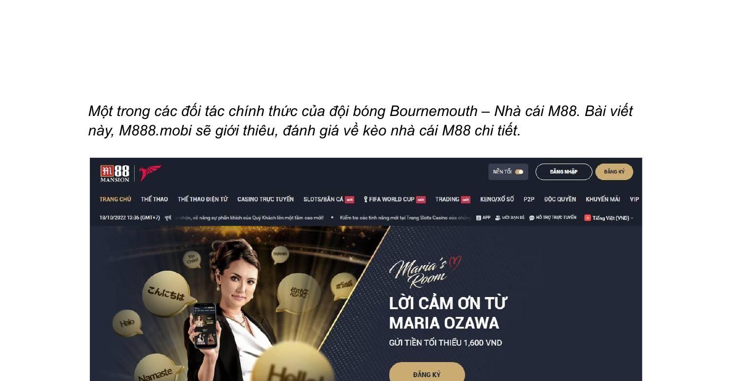 Khám phá tro choi net cùng những trò chơi hấp dẫn trên tro choi net Khám phá tro choi net cùng những trò chơi hấp dẫn trên tro choi net