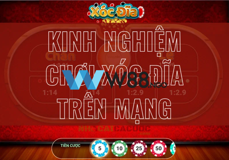 Khám phá Super Golf Drive và trải nghiệm Super Golf Drive độc đáo cho người yêu thể thao